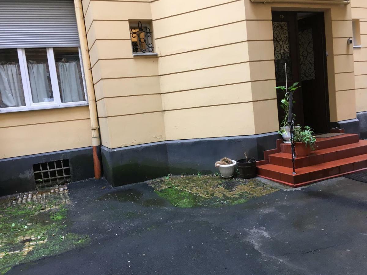 Romantik Eko Apartment Lviv Dış mekan fotoğraf
